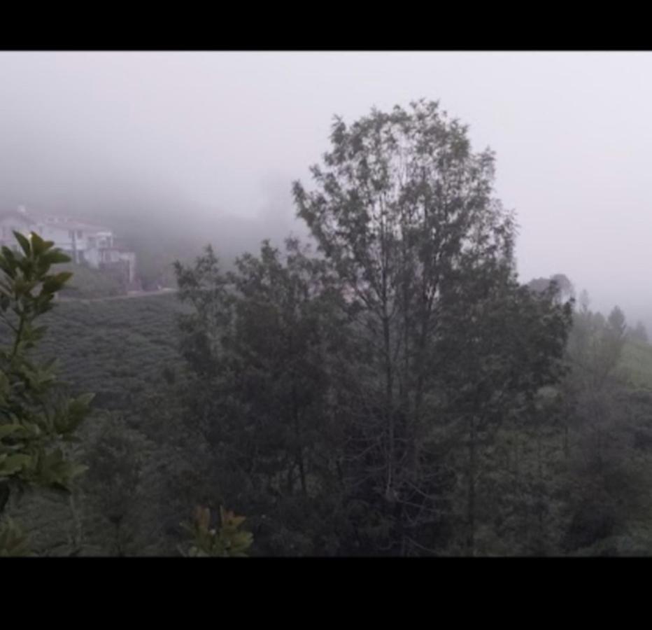 The Valley Villa Kotagiri Zewnętrze zdjęcie